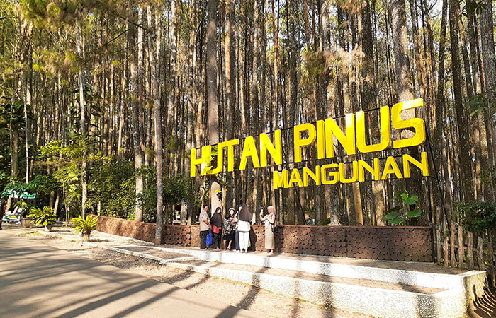MASIH ASRI: Suasana kawasan wisata Hutan Pinus Mangunan di Kapanewon Dlingo, Bantul.