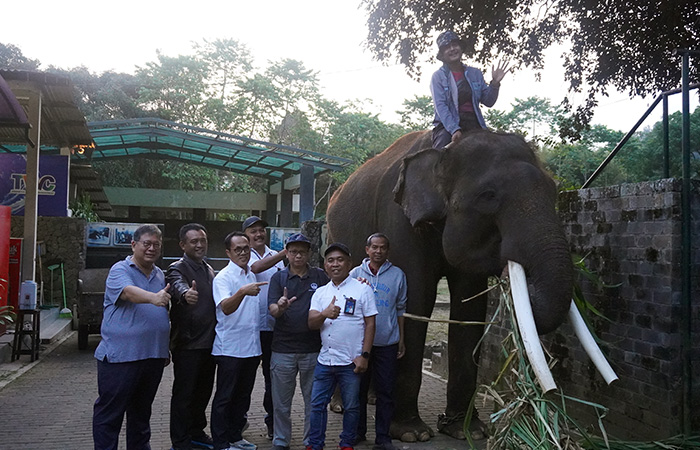 DILINDUNGI: Tiga ekor gajah Sumatera hibah dari Taman Wisata Candi (TWC) Magelang sudah sampai ke Gembira Loka Zoo Jogja.