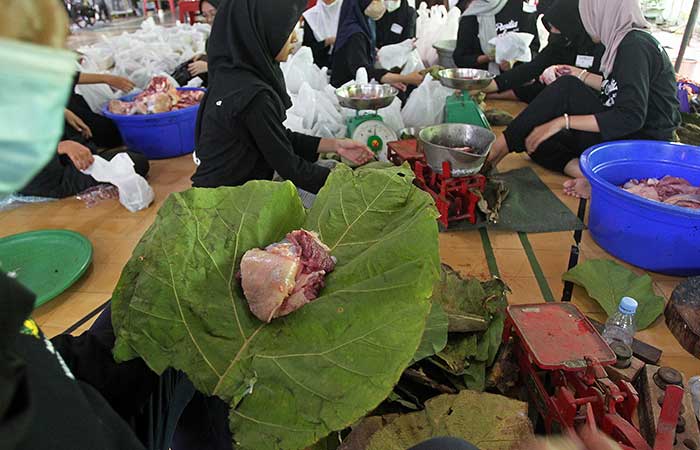 ALAMI: Sejumlah pengurus Masjid Margoyuwono, Kraton, Kota Jogja membungkus daging hewan kurban dengan menggunakan daun jati, sebelum dibagikan Rabu (28/6/23).