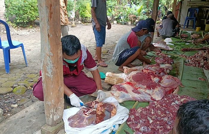 CEK: Petugas dari DPP Kulonprogo memantau daging kurban di Kalurahan Banjarasri, Kapanewon Kalibawang, Kulon Progo (29/6/23).