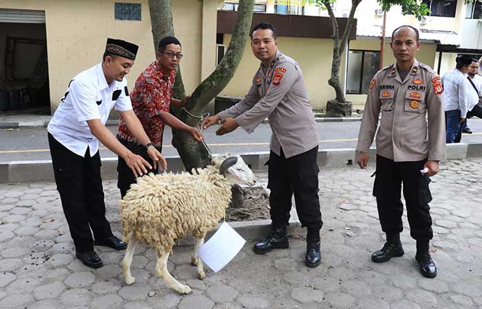 Serahkan Sapid dan Kambing, Distribusikan Daging Olahan