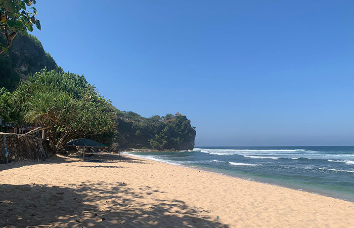 KEMBALI TUMBUH: Penampakan pohon duras yang menjadi ikon Pantai Pok Tunggal