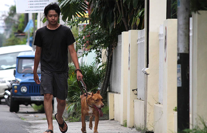 UPAYA PENERTIBAN: Koalisi Dog Meat Free Indonesia (DMFI) bersama Satpol PP Kota Jogja terus berupaya untuk menertibkan perdagangan daging anjing di Kota Jogja.