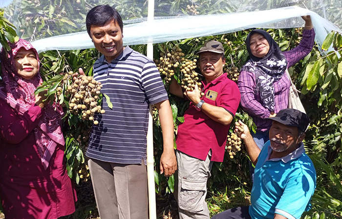 SUBUR : Dalkum, 59, petani asal Desa Karangreja, Kecamatan Petanahan menunjukkan hasil budidaya kelengkeng.