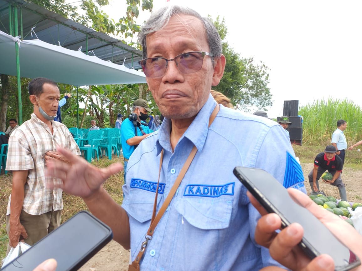SOLUSI: Kepala Dinas Pertanian Pangan dan Perikanan Kabupaten Sleman Suparmono (MEITIKA CANDRA LANTIVA/Radar Jogja)