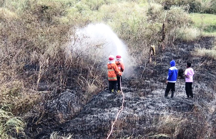 BERJIBAKU: Tim damkar BPBD Kulon Progo, Tagana dan PMI saat menjinakkan api yang melalap lahan seluas 2.000 meter persegi di Paingan, Sendangsari, Pengasih, Kulon Progo.