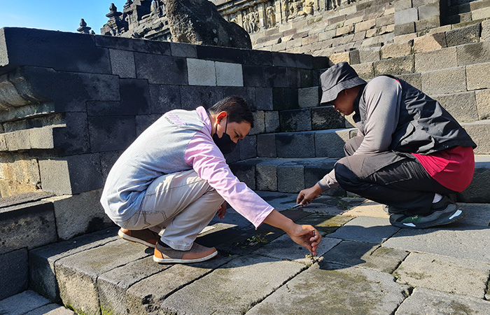 Pemerintah membatasi jumlah pengunjung yang naik ke bangunan Candi Borobudur.