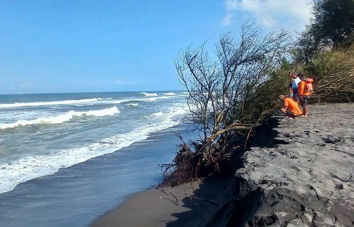 PARAH: Lokasi beberapa titik di Pantai Trisik di Kalurahan Banaran, Kapanewon Galur yang mengalami abrasi.
