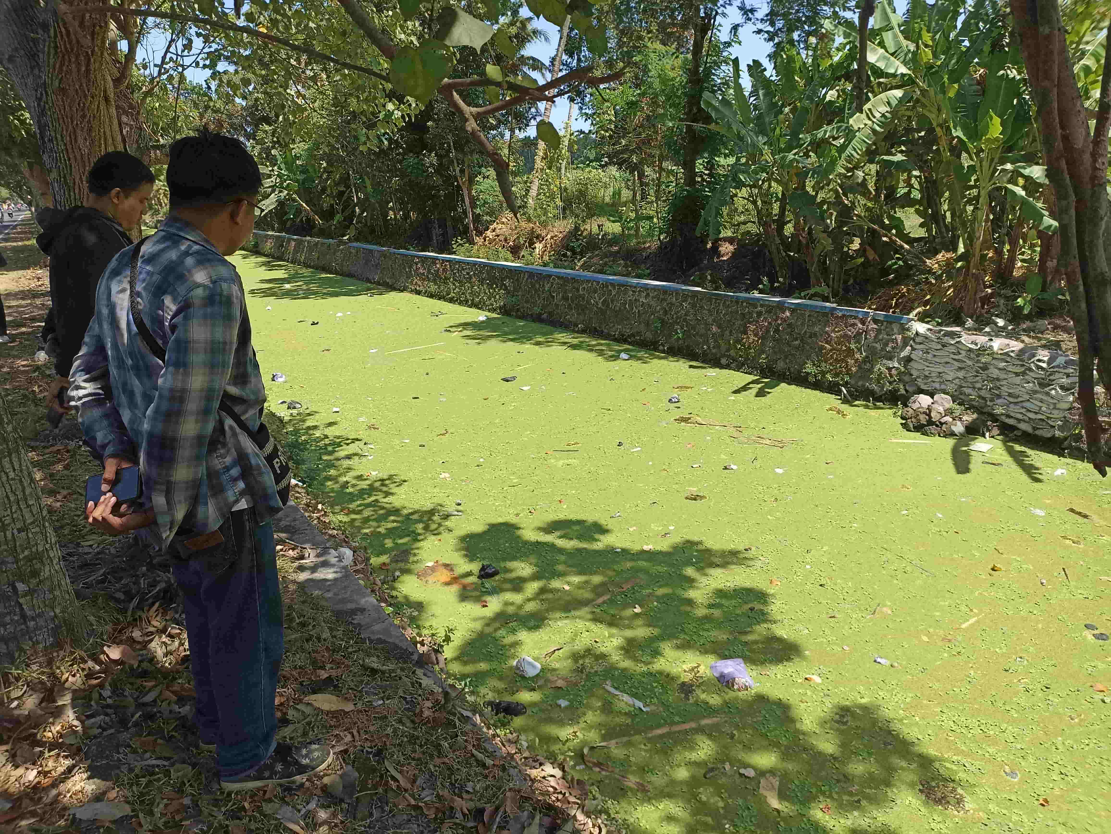 Pengendara mengamati permukaan Sungai Winongo di Jalan Samas, Bambanglipuro, Bantul yang dipenuhi tumbuhan mirip eceng gondok dan algae, Senin (14/8)