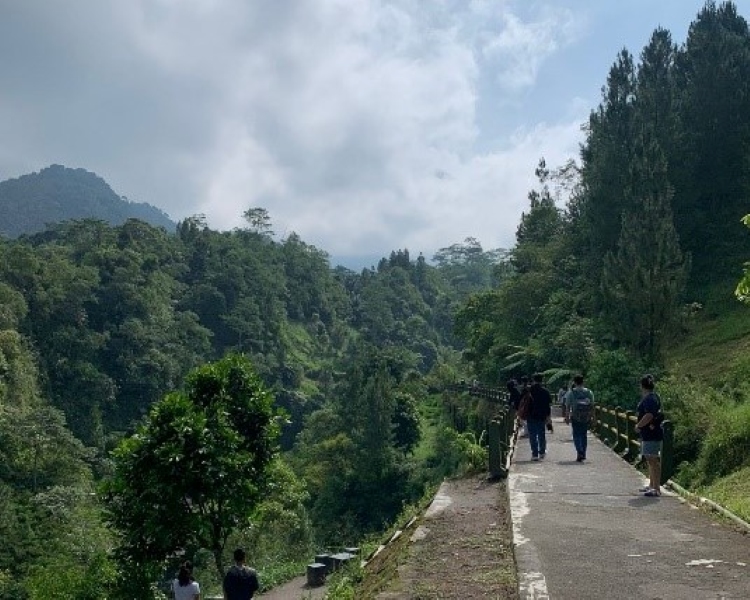 HIJAU : Jembatan Pluyon Kalikuning salah satu lokasi menjaid objek wisata di Sleman