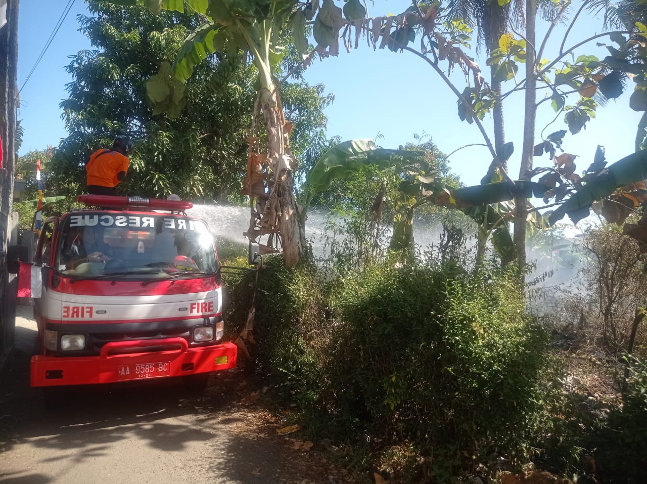 LATIHAN : Petugas Damkar saat memadamkan kebakaran lahan dan hutan di wilayah Kabupaten Purworejo. (dok. Damkar Purworejo)
