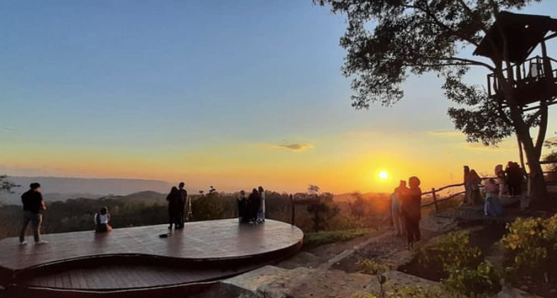 Sumber Instagram kopinatadamar