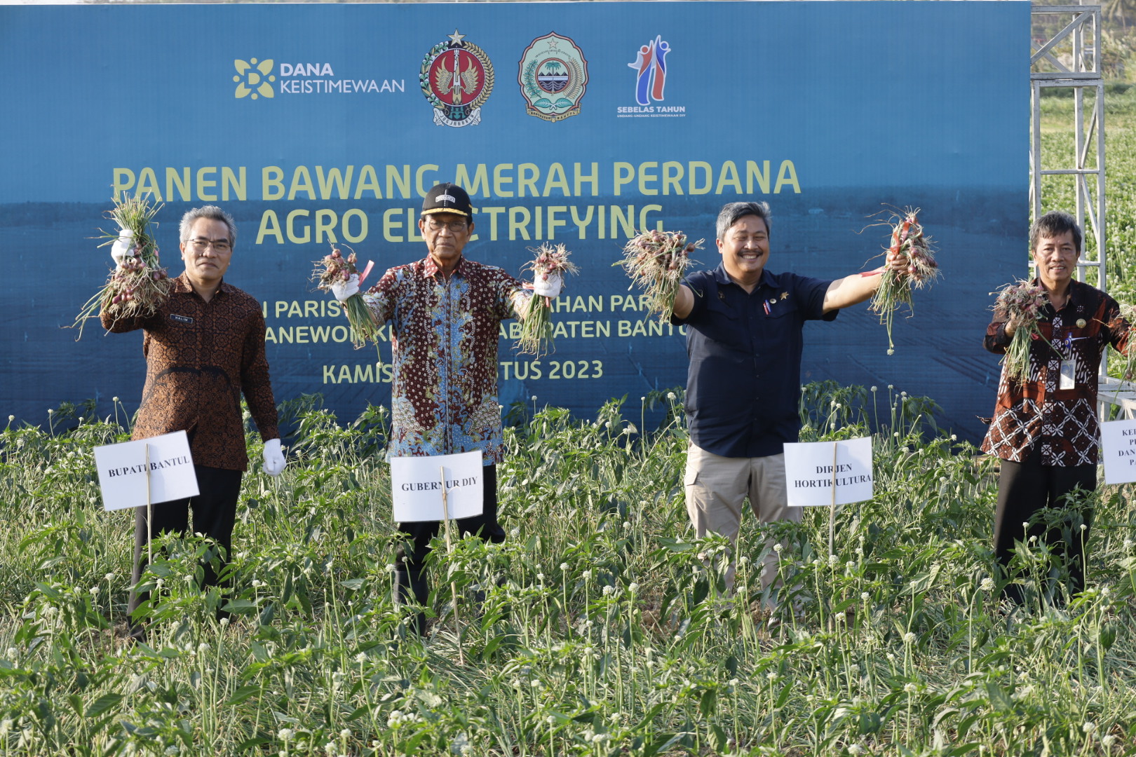 Gubernur DIJ Hamengku Buwono X bersama Bupati Bantul melakukan panen bawang merah perdana