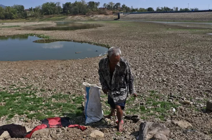 KERING : Warga mencari ikan di Waduk Tandon, Desa Pare, Kecamatan Selogiri, Kabupaten Wonogiri yang debit airnya menyusut drastis. (ARIEF BUDIMAN/RADAR SOLO)