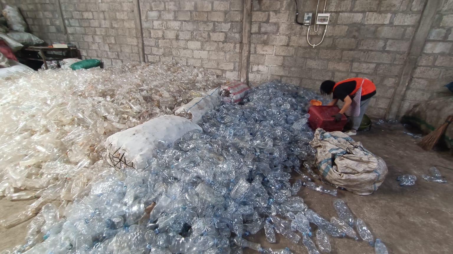 Aktifitas pemilahan botol PET sesuai gradenya di Collection Center