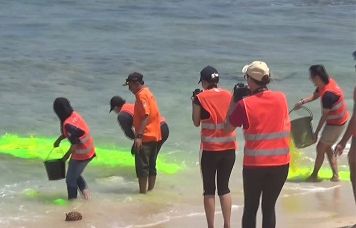 BEGINI CARANYA: UGM dari Program Studi Sarjana Terapan Sistem Informasi Geografis Departemen Teknologi Kebumian Sekolah Vokasi saat meneliti tipe rip current di Pantai Selatan.