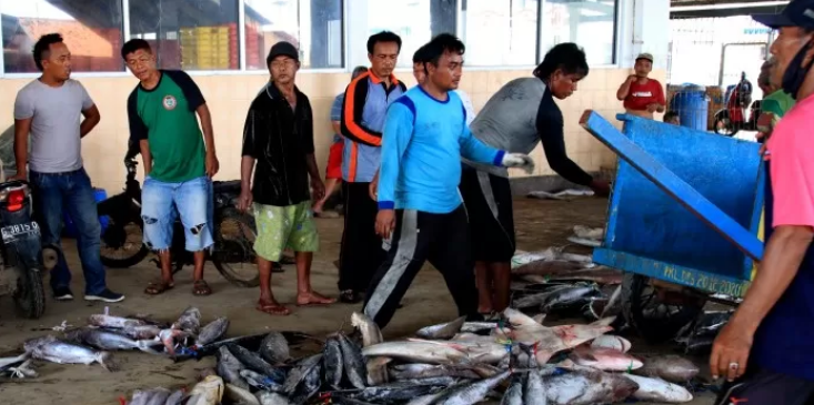TURUN DRASTIS: Akibat regulasi baru, produksi ikan di TPI Pekalongan susut. Awalnya 50-60 ton per hari sekarang menjadi 25 ton. (Jawa Pos Radar Semarang)