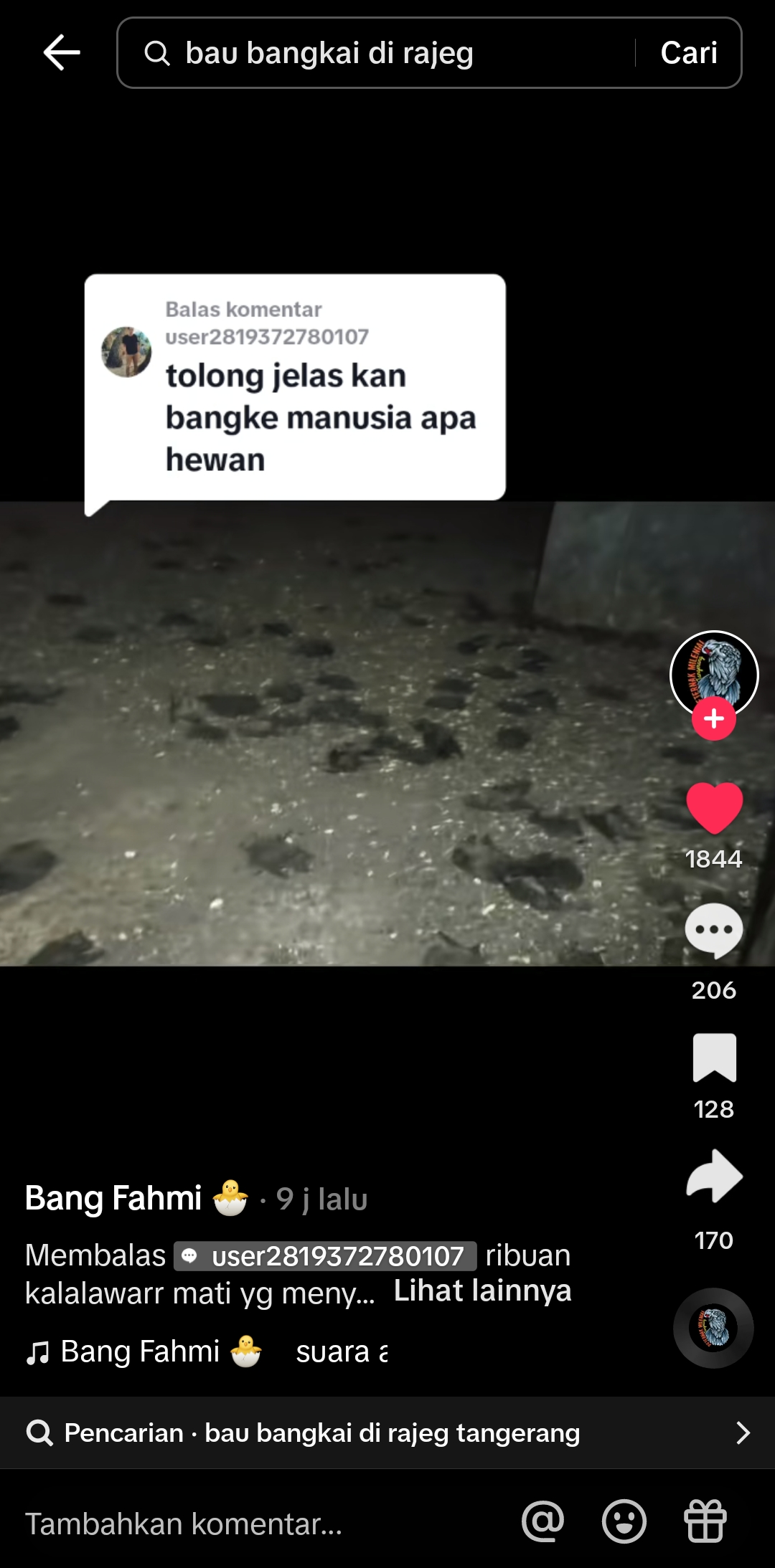 VIRAL: Ribuan kelelawar mati misterius di sebuah ruangan tertutup di Rajek Rajawali Kabupaten Tangerang . (Tangkapan Layar Akun TikTok Bang Fahmi)