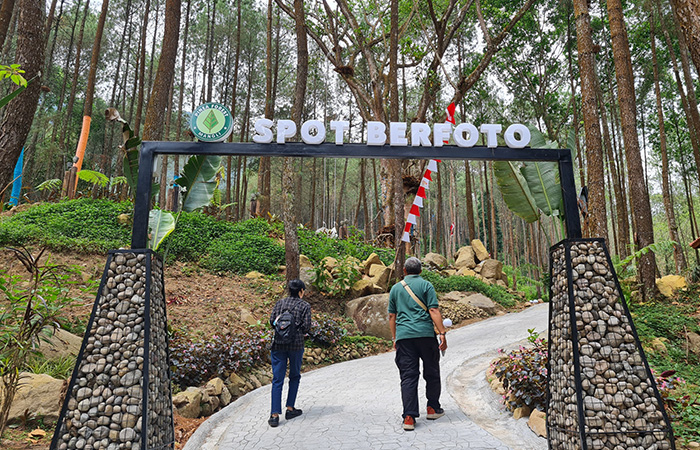 ASRI: Wisatawan dapat menikmati hamparan pohon pinus yang menjulang tinggi di Pinea Forest Mangli, Ngablak, Magelang.Naila Nihayah/Radar Jogja