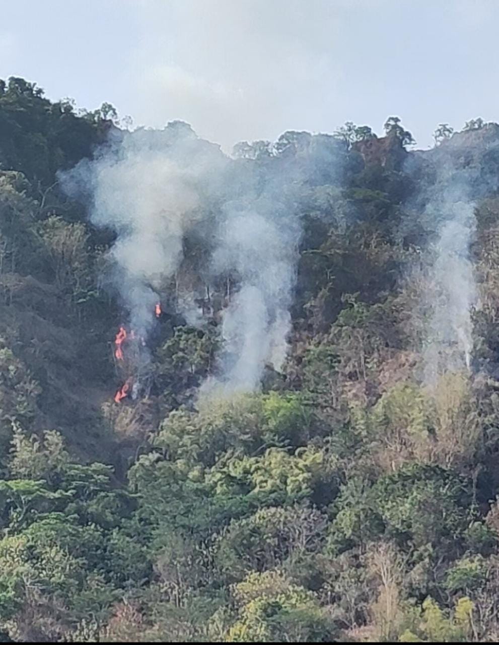 SENGAJA DIBAKAR - Nampak lereng Gunung Wonosari, Jurangjero, Ngawen yang terbakar sejak tadi malam masih menyala hingga siang ini (2/9). Warga berdalih aksi pembakaran dilakukan untuk mengusir monyet