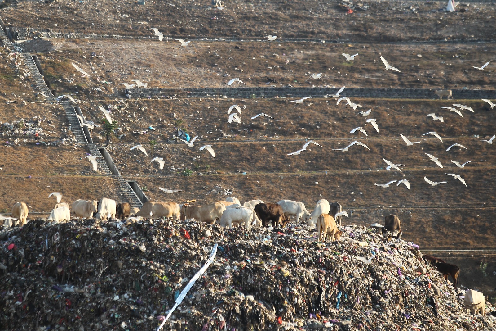 TERUS DIKERJAKAN: Suasana TPST Piyungan Bantul zona transisi 2 Minggu&nbsp;(3/9/23). Pembangunan baru mencapai 74 persen.