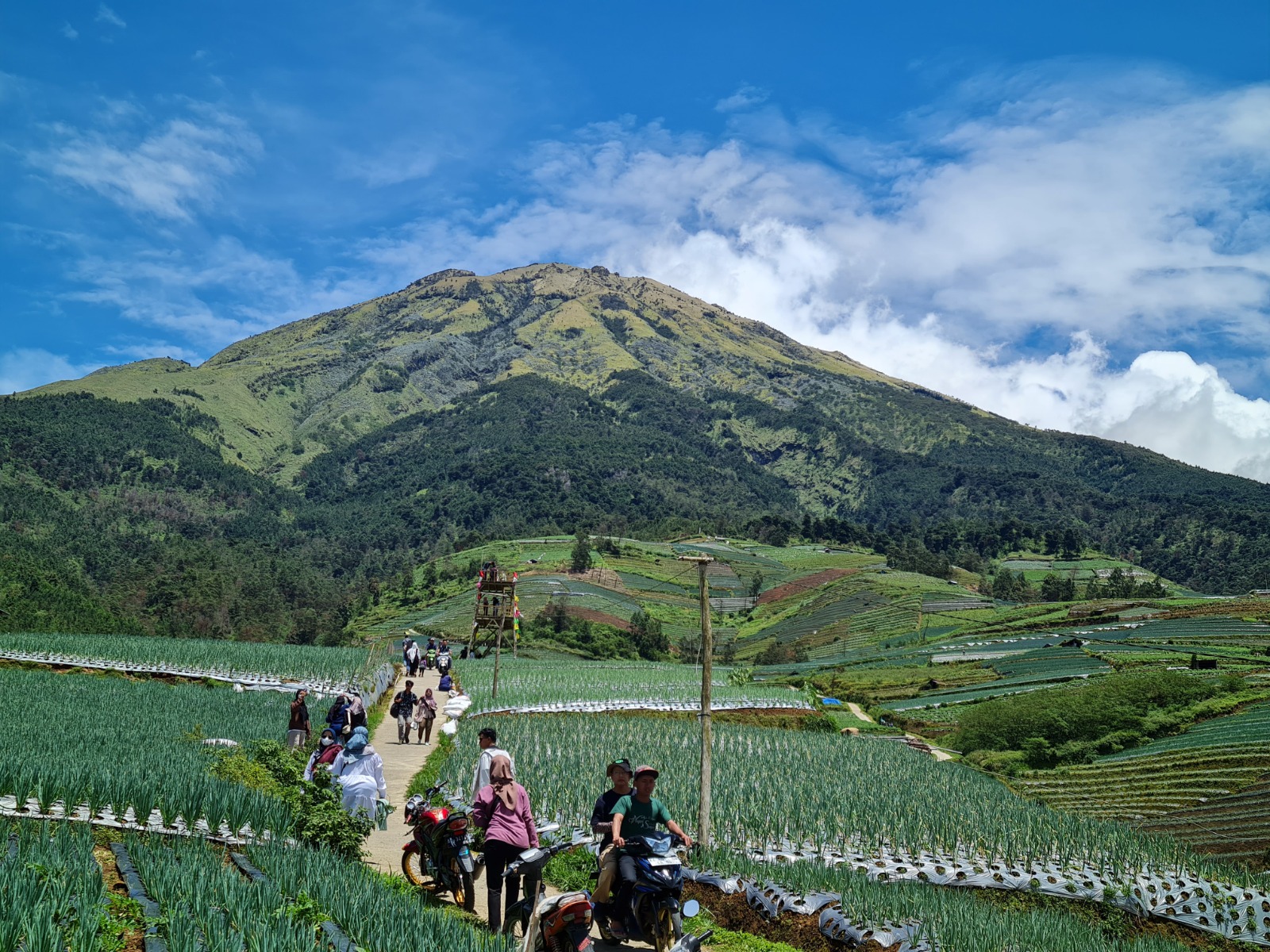 DITUTUP: Pemandangan Gunung Sumbing dari Sukomakmur, Kajoran. Beberapa jalur pendakian di Gunung Sumbing terpaksa ditutup sementara pascakebakaran yang terjadi pada Jumat (1/9).