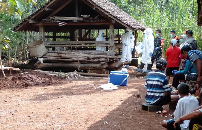 PENGAMATAN - Petugas melakukan pemeriksaan hewan ternak yang mati di salah satu wilayah kapanewon di Gunungkidul beberapa waktu lalu.ISTIMEWA