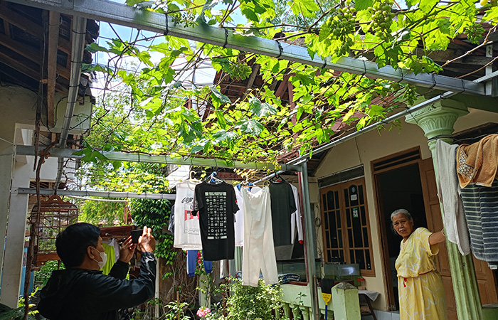 Tumbuhan anggur yang ada di Kampung Anggur Tompeyan (7/9/23).Alfi Annissa Karin/ Radar Jogja