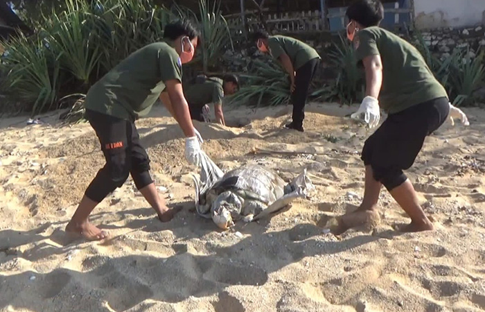 MENGENASKAN - Petugas mengevakuasi bangkai penyu yang ditemukan mati di pasiran Pantai Sepanjang Kemadang, Tanjungsari pada Minggu (10/9) pagi.Tim SAR untuk Radar Jogja