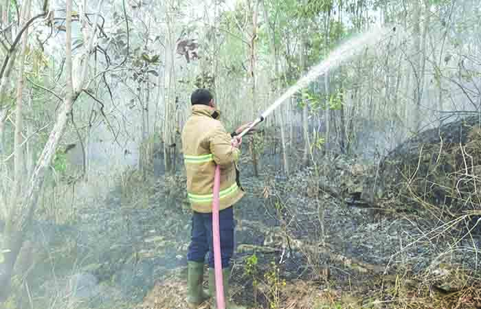 GERAK CEPAT - Petugas damkar berupaya memadamkan titik api di lahan Hutan Sodong petak 158 wilayah Kapanewon Paliyan beberapa waktu lalu.