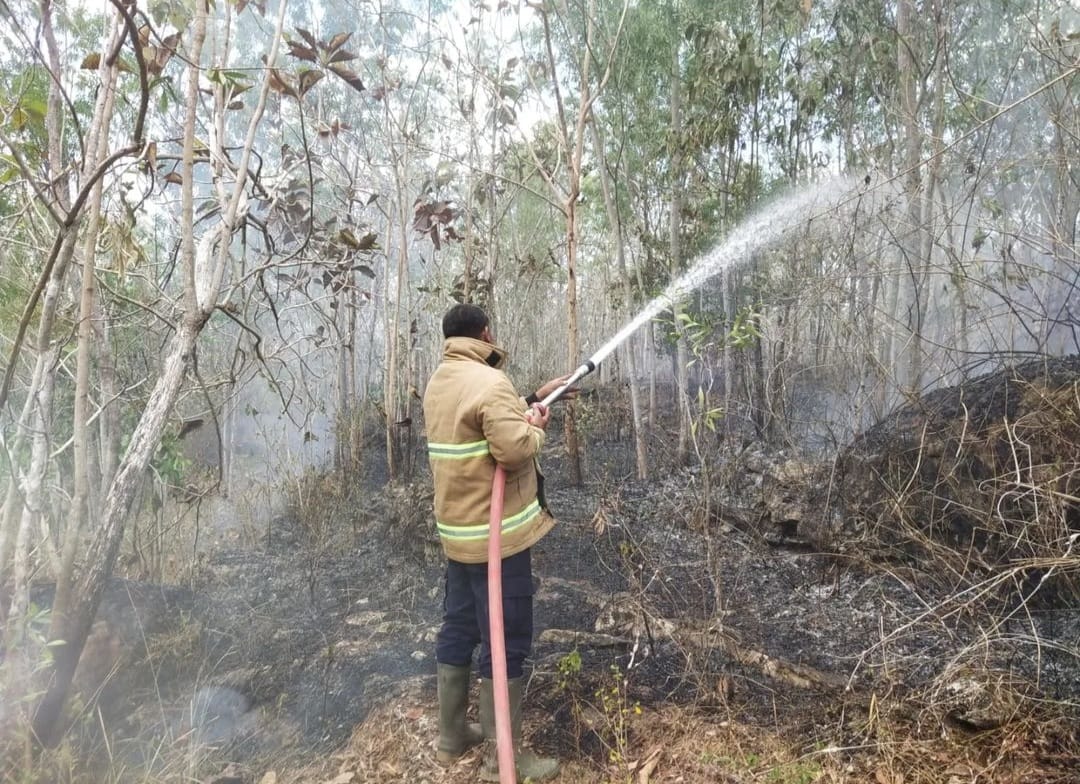 GERAK CEPAT: Petugas damkar berupaya memadamkan titik api di lahan yang berada di Sendowo Kidul, Kedungkeris, Nglipar, Gunungkidul. (Dok Damkar Gunungkidul)