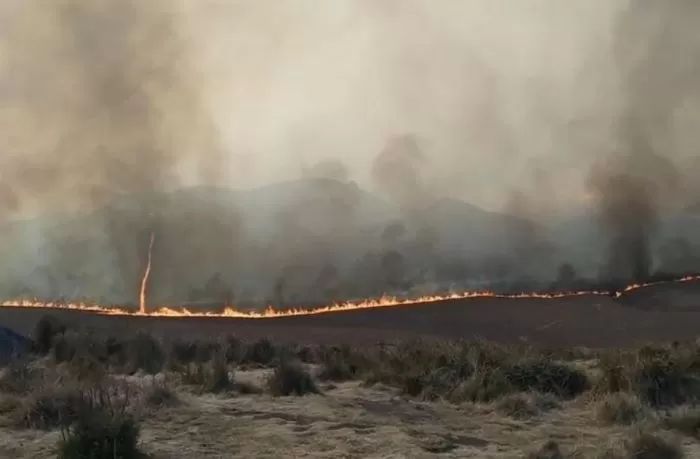 Fenomena api berbentuk tornado di kawasan Bukit Teletubbies Savana Gunung Bromo. (BPBD Jawa Timur)