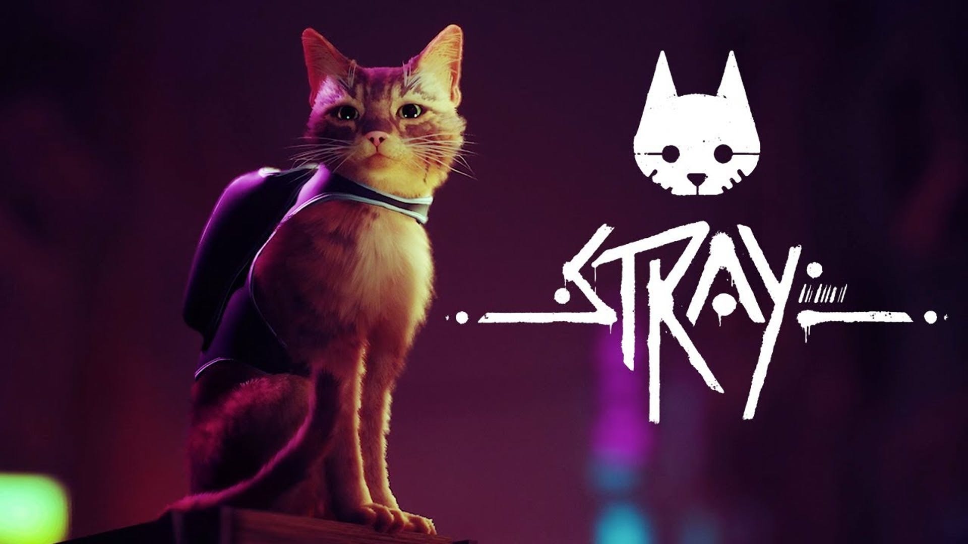 Stray permainan video game petualangan yang dirilis pada 19 Juli 2022 oleh BlueTwelve Studio.