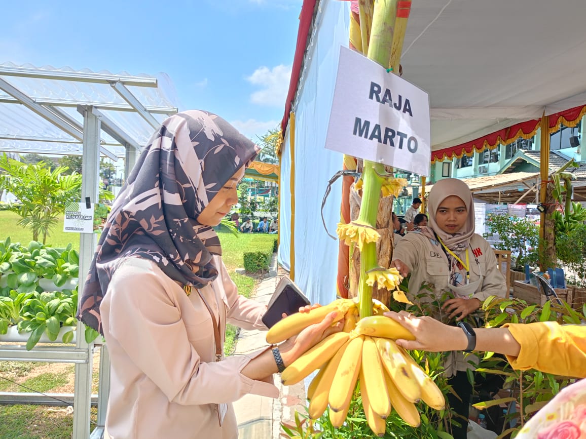UNGGULAN: Salah satu produk benih bersertifikasi yaitu pisang Raja Marto dipamerkan dalam Gelar Potensi Pertanian di Balai Kota Jogja, Jumat (15/5). (Alfi Annissa Karin/Radar Jogja)