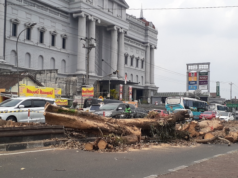 GANTI: Suasana pohon-pohon perindang di kawasan Taman Denggung yang selesai ditebang dalam proses revitalisasi pada Minggu (17/9). (IWAN NURWANTO/RADAR JOGJA)