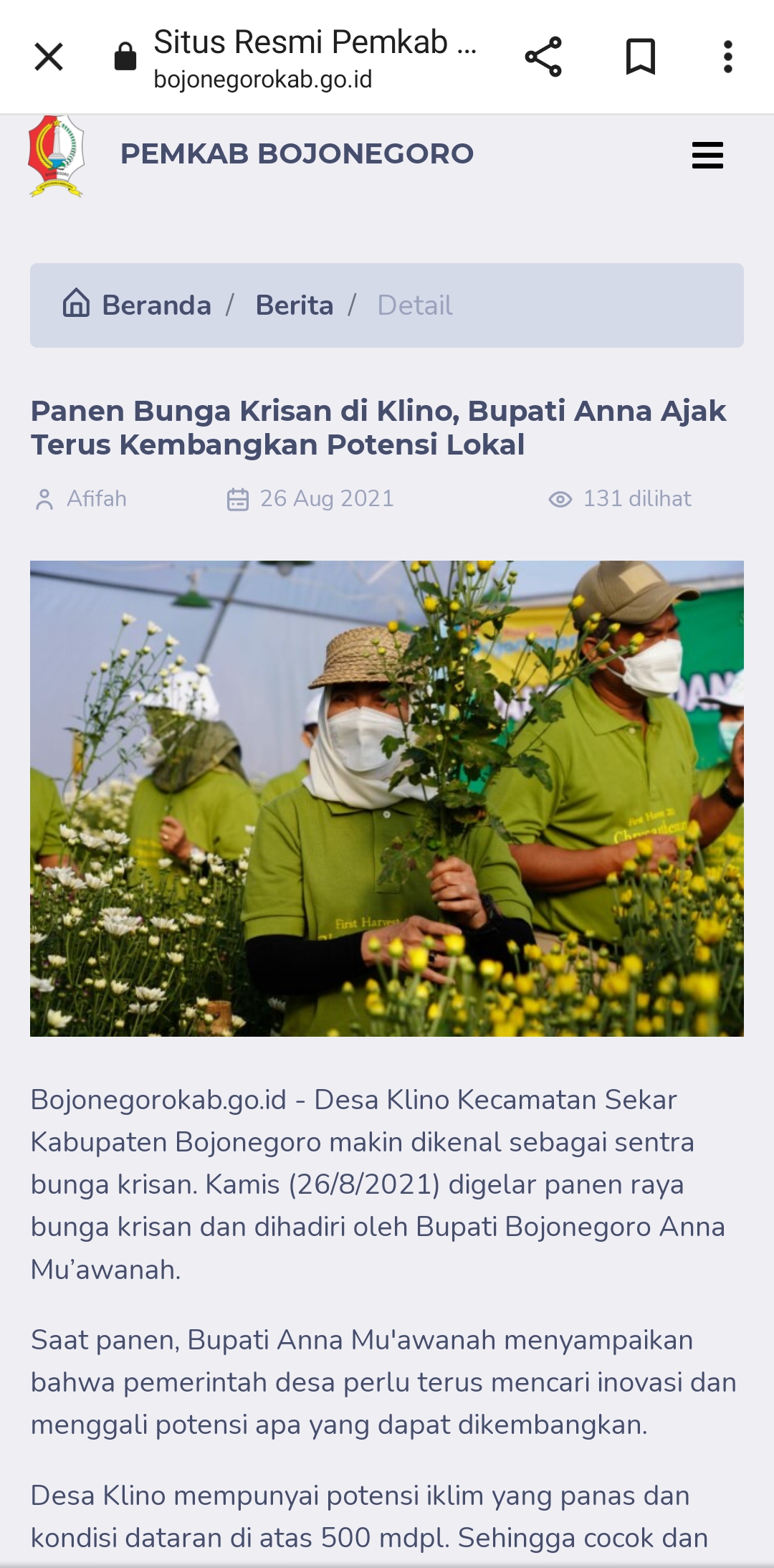 PANEN : Pejabat pemerintah Kabupaten Bojonegoro saat panen bunga Krisan beberapa waktu lalu di Desa Klino, Kecamatan Sekar. (Bojonegorokab.go.id)