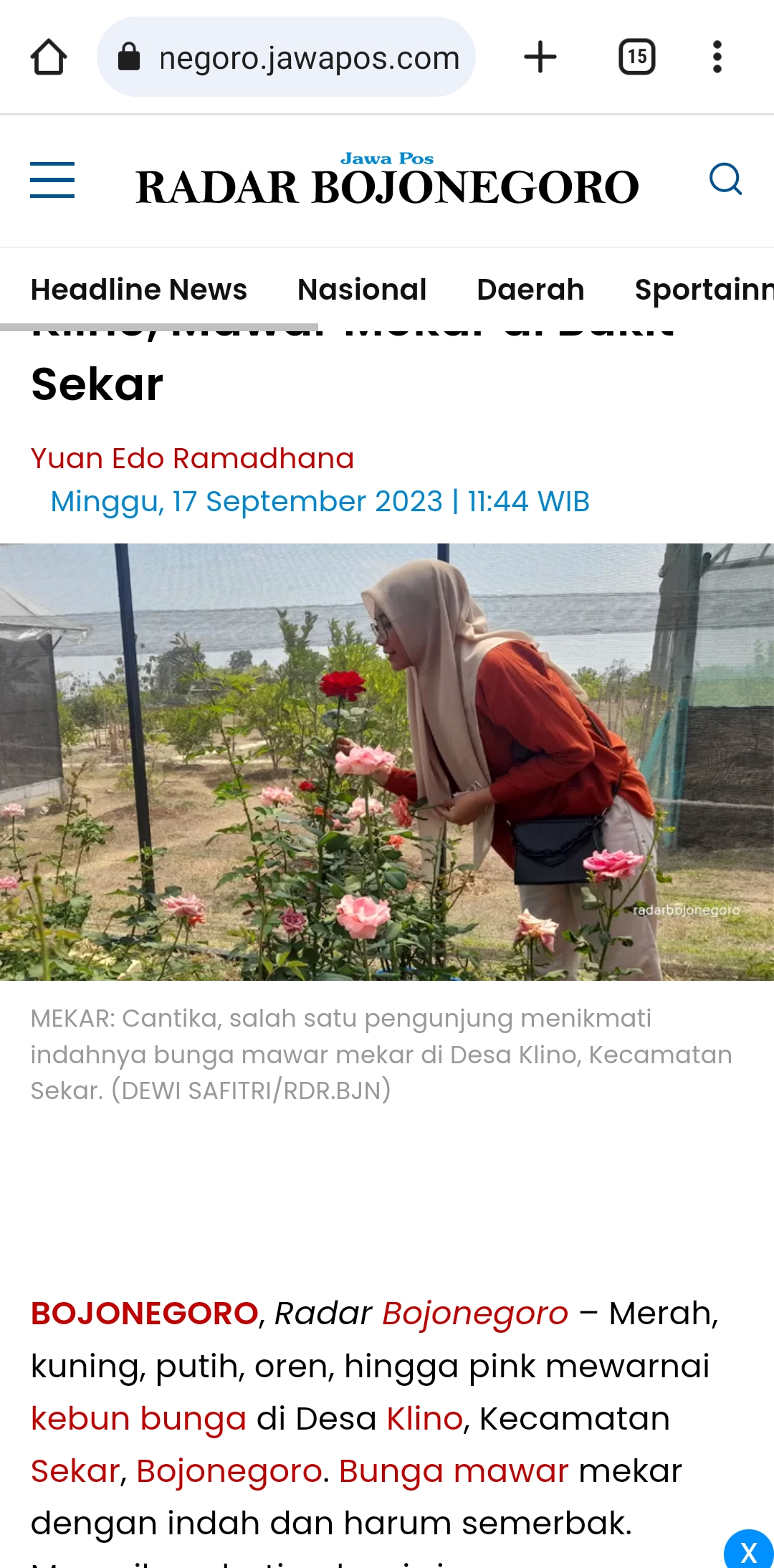 MEKAR: Cantika salah satu pengunjung menikmati indahnya bunga mekar di Desa Klino, Kecamatan Sekar, Bojonegoro. (DEWI SAFITRI/RADAR BOJONEGORO)