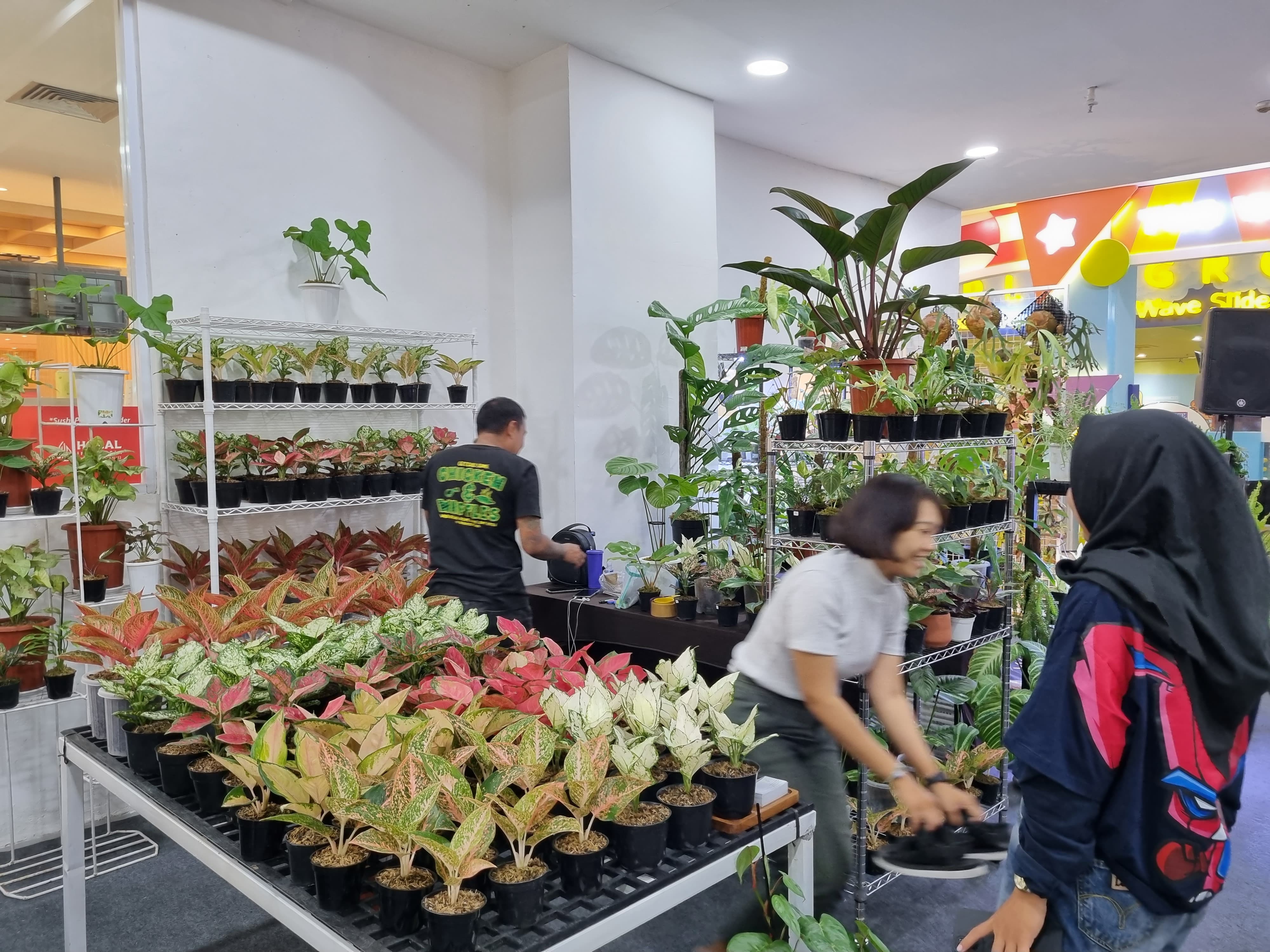 SERIUS: Gelaran bertajuk The Green Market edisi ke-5 yang berlangsung di Ambarrukmo Plaza hingga 23 September mendatang ini menghadirkan ragam tanaman hias. (Fahmi Fahriza/Radar Jogja)
