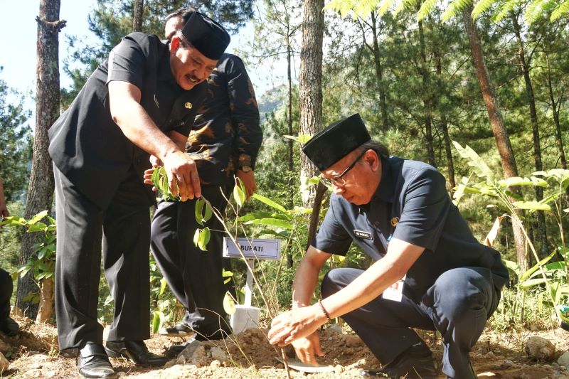 SIMBOLIS: Sekretaris Daerah Kabupaten Magelang didampingi Kepala Dinas Lingkungan Hidup dan Camat Ngablak saat menanam bibit pohon di Pinea Forest Mangli, Rabu. (Dok: Prokompim Setda Kabupaten Magelan