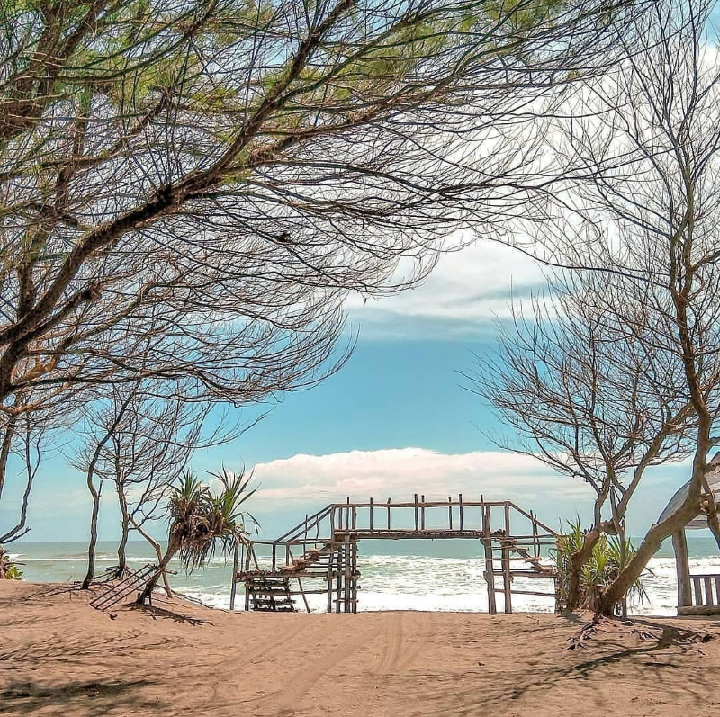 Pantai Cemara Sewu. (Instagram/@jejemuran.id)