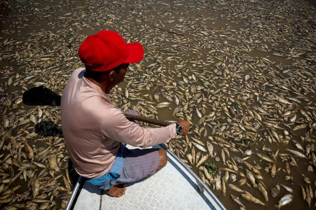 kekeringan yang terjadi di Sungai Amazon (REUTERS)
