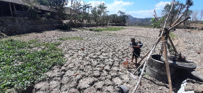 KRISIS AIR: Seorang warga Klegung, Ngoro-oro, Patuk Pariyah terlihat ngangsu (membawa) air dari sumur galian belakang rumah Senin (2/10). (GUNAWAN/Radar Jogja) 