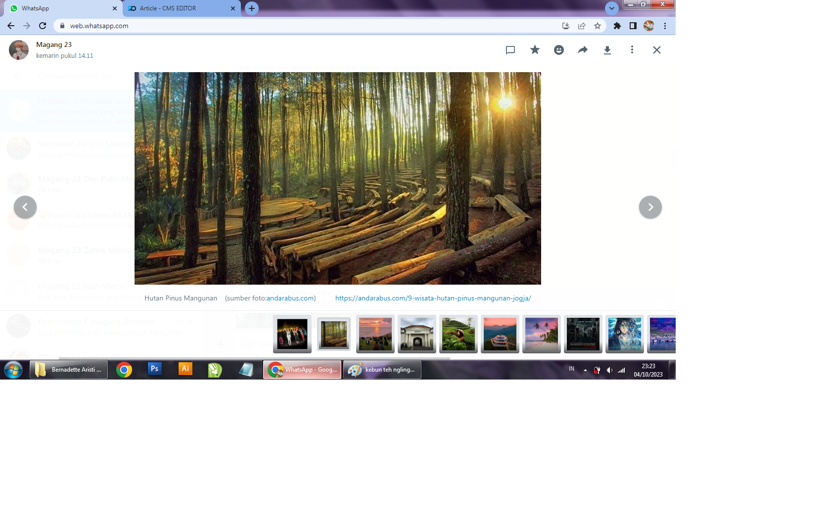 Hutan Pinus Mangunan.  (andarabus.com)