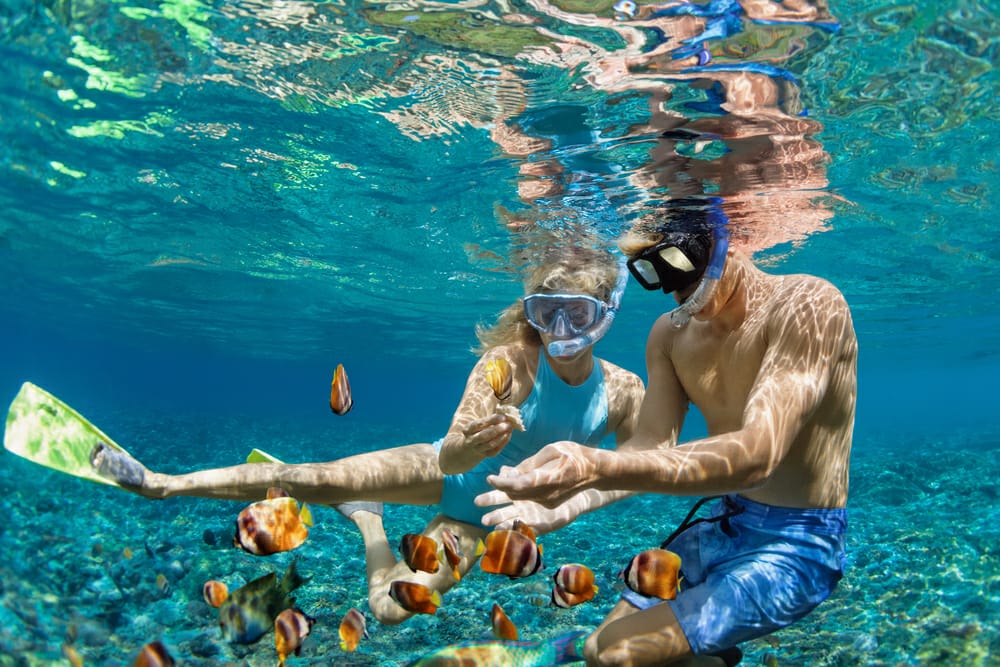 Uuuu Segeeer, wisata bawah air snorkeling.