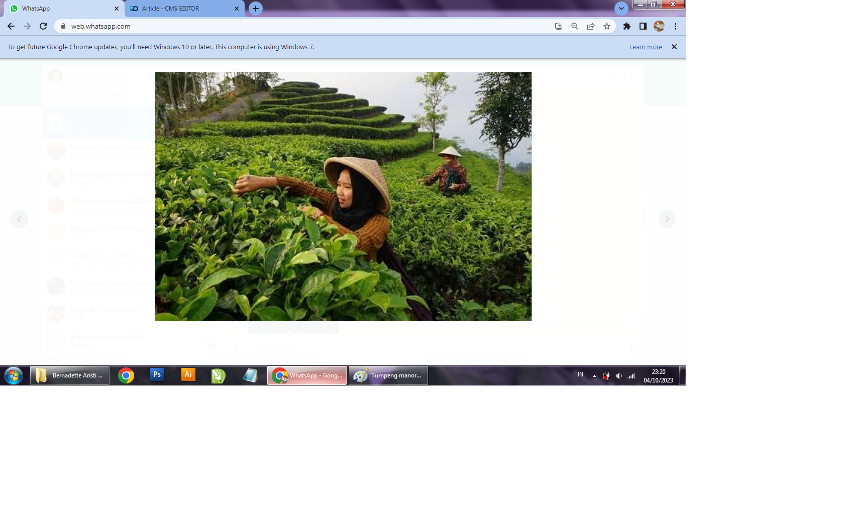 Pesona Kebun Teh Nglinggo Kabupaten Kulonprogo, DIJ.                 (Wsrentaljogja.com)