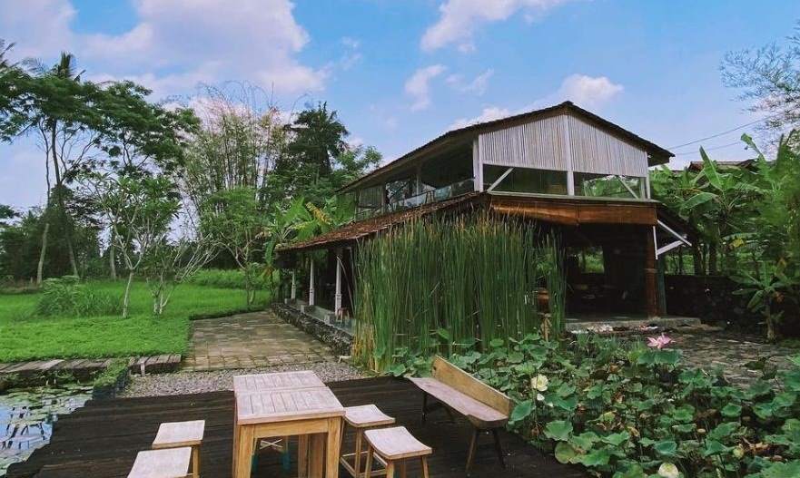 Little Garden