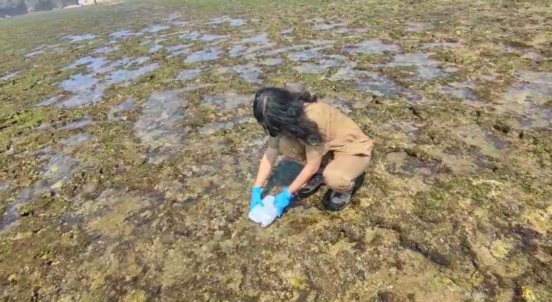DICEK: Petugas dari DLH Kabupaten Gunungkidul mengambil sampel air dilokasi Pantai yang tercemar limbah cair dan dibawa ke laboratorium Senin (9/10).