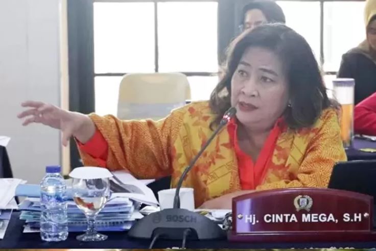 Cinta Mega