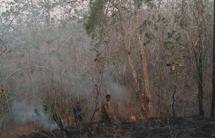 JADI KEWASPADAAN: Petak 14 wilayah Kawasan hutan Wanagama, Kalurahan Banaran, Playen, terbakar pada Senin (9/10) petang.Damkar Gunungkidul untuk Radar Jogja