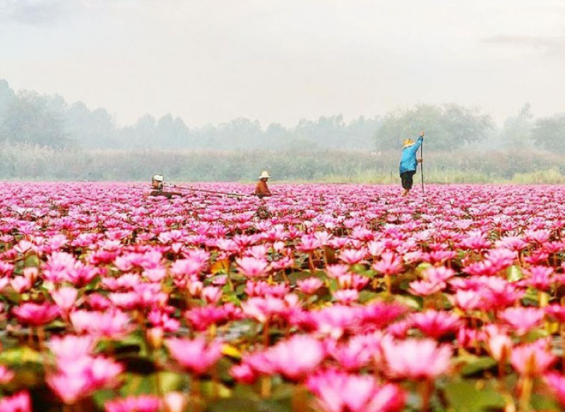 Danau Rana Tonjong. Pota,kabupaten Manggarai Timur,Nusa Tenggara Timur. (Idntimes.com)